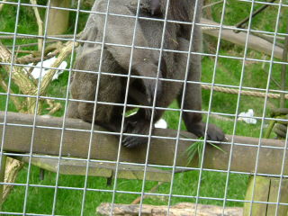 Photo /users/aendr/whiterabbit/131