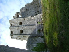 Photo /users/aendr/whiterabbit/1316