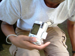 Photo /users/aendr/whiterabbit/1317