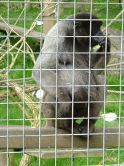 Photo /users/aendr/whiterabbit/132