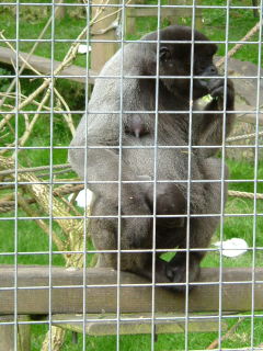 Photo /users/aendr/whiterabbit/132