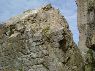 Photo /users/aendr/whiterabbit/1321