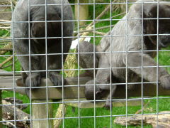 Photo /users/aendr/whiterabbit/133