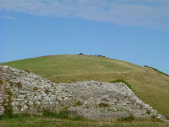 Photo /users/aendr/whiterabbit/1332