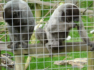 Photo /users/aendr/whiterabbit/134