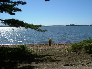 Photo /users/aendr/whiterabbit/1348