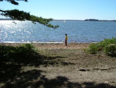 Photo /users/aendr/whiterabbit/1349