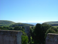 Photo /users/aendr/whiterabbit/1355