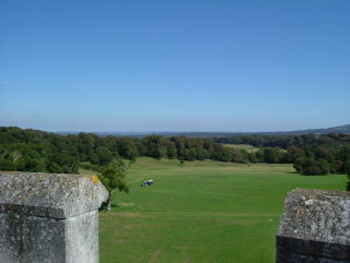 Photo /users/aendr/whiterabbit/1356