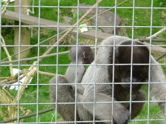 Photo /users/aendr/whiterabbit/136