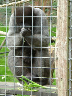 Photo /users/aendr/whiterabbit/137