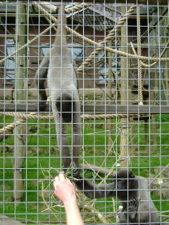 Photo /users/aendr/whiterabbit/138