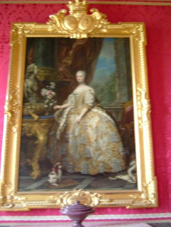 Photo /users/aendr/whiterabbit/1380