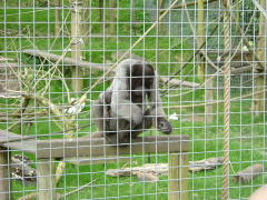 Photo /users/aendr/whiterabbit/139