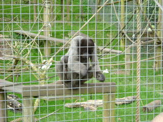 Photo /users/aendr/whiterabbit/139