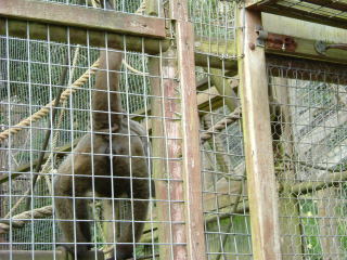 Photo /users/aendr/whiterabbit/140