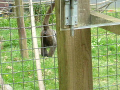 Photo /users/aendr/whiterabbit/141