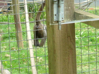 Photo /users/aendr/whiterabbit/141