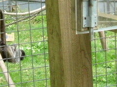 Photo /users/aendr/whiterabbit/142