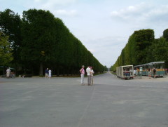 Photo /users/aendr/whiterabbit/1425