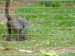 Photo /users/aendr/whiterabbit/143