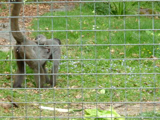 Photo /users/aendr/whiterabbit/143