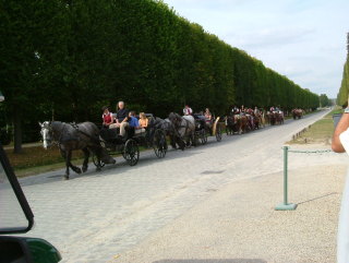 Photo /users/aendr/whiterabbit/1432