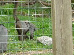 Photo /users/aendr/whiterabbit/145