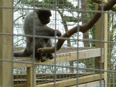 Photo /users/aendr/whiterabbit/146