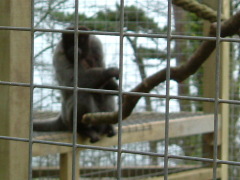 Photo /users/aendr/whiterabbit/147