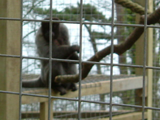 Photo /users/aendr/whiterabbit/147