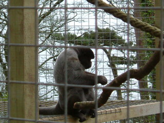 Photo /users/aendr/whiterabbit/148