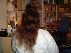 Photo /users/aendr/whiterabbit/1481