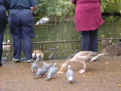 Photo /users/aendr/whiterabbit/1493