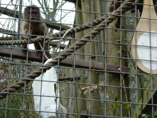 Photo /users/aendr/whiterabbit/150