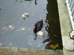 Photo /users/aendr/whiterabbit/1501