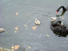 Photo /users/aendr/whiterabbit/1502