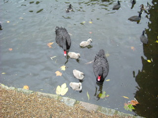 Photo /users/aendr/whiterabbit/1504