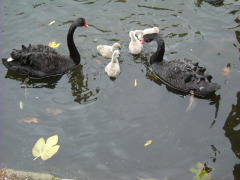 Photo /users/aendr/whiterabbit/1505