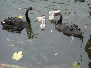 Photo /users/aendr/whiterabbit/1505