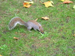 Photo /users/aendr/whiterabbit/1507