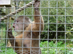 Photo /users/aendr/whiterabbit/151