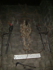 Photo /users/aendr/whiterabbit/1512