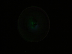 Photo /users/aendr/whiterabbit/1519