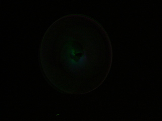 Photo /users/aendr/whiterabbit/1519