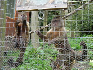 Photo /users/aendr/whiterabbit/153