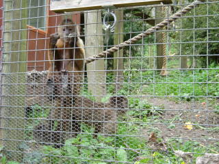 Photo /users/aendr/whiterabbit/154