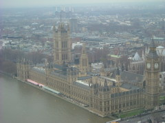 Photo /users/aendr/whiterabbit/1541