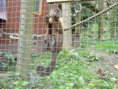 Photo /users/aendr/whiterabbit/155