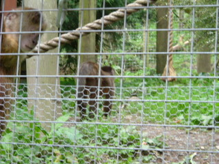 Photo /users/aendr/whiterabbit/156